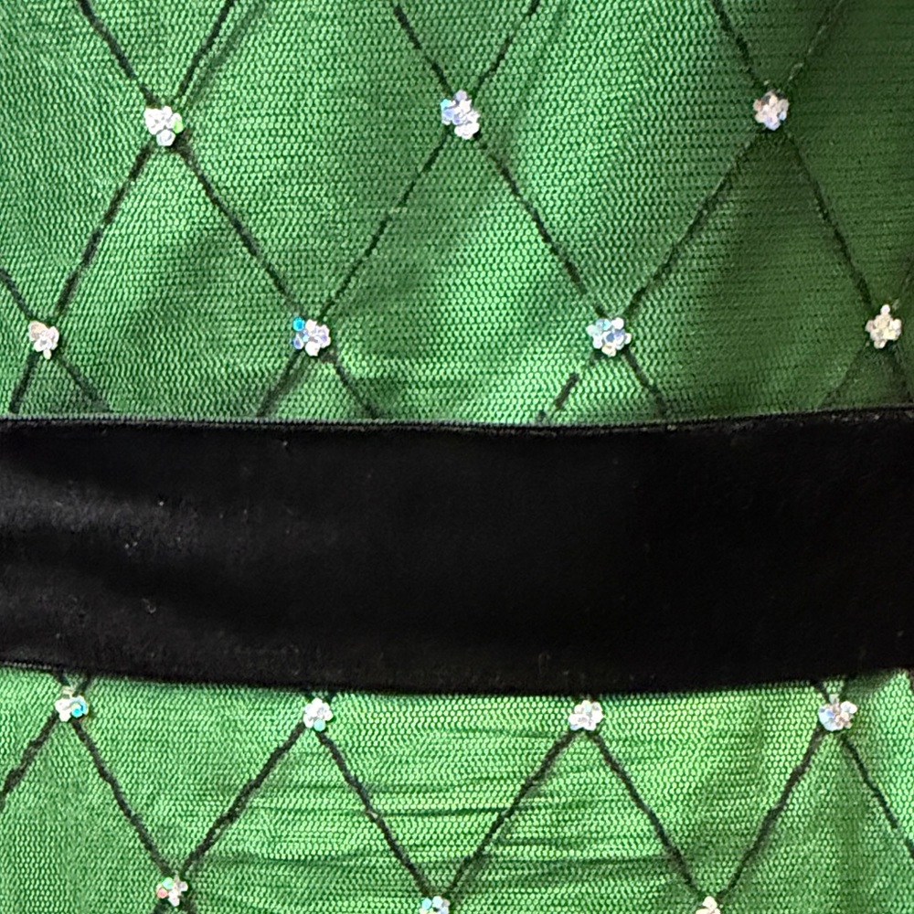 B14 Papell Boutique Evening Women’s 10 Green and Black Maxi Dress - Picture 5 of 7